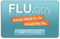 Visit the Flu.gov Website